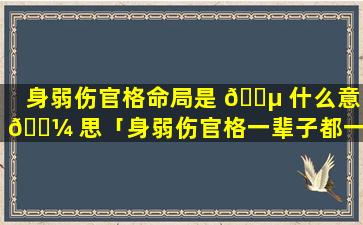 身弱伤官格命局是 🐵 什么意 🌼 思「身弱伤官格一辈子都一事无成」